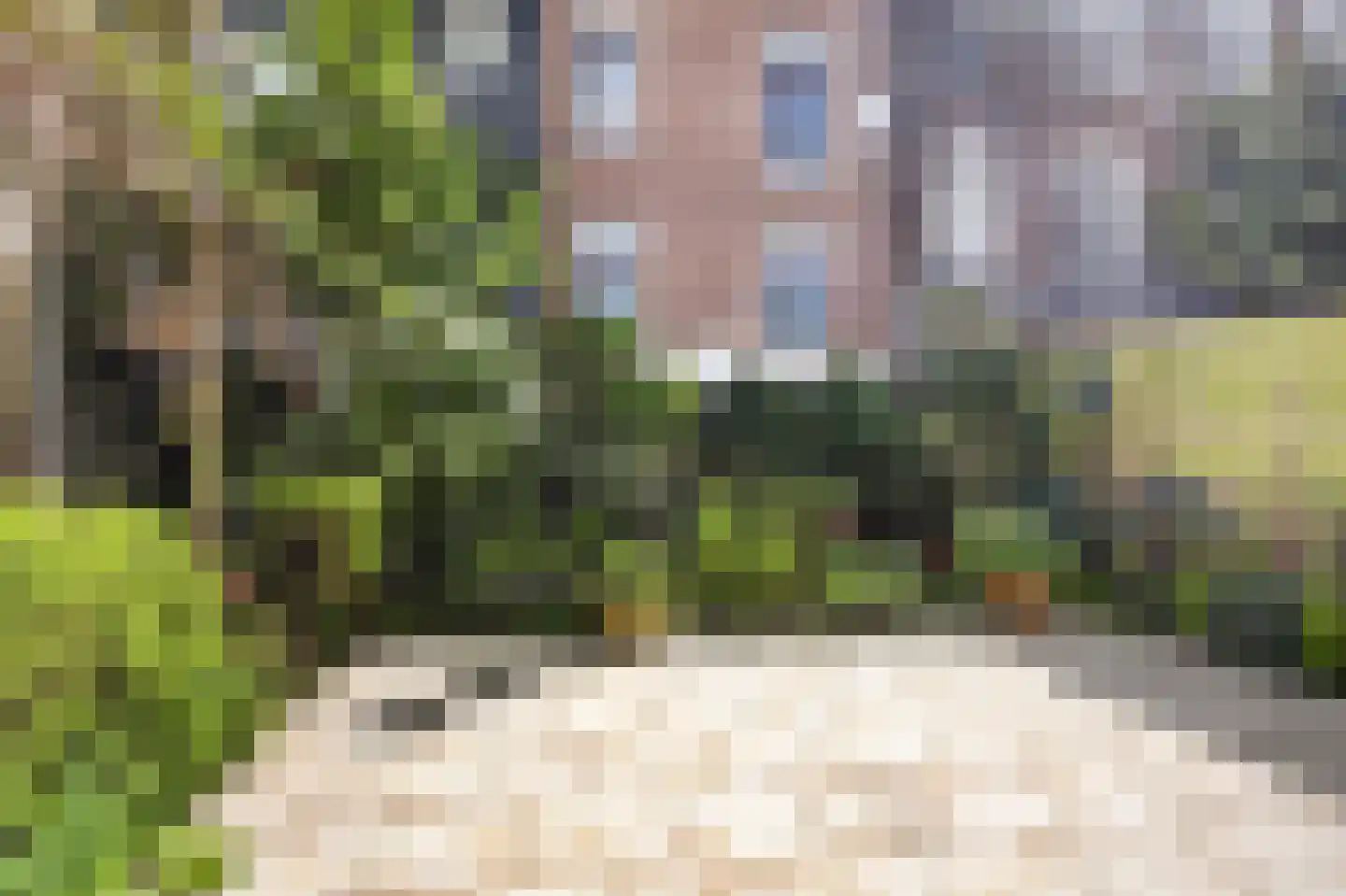 Hemonylaan 19 1 Amsterdam thumbnail 20