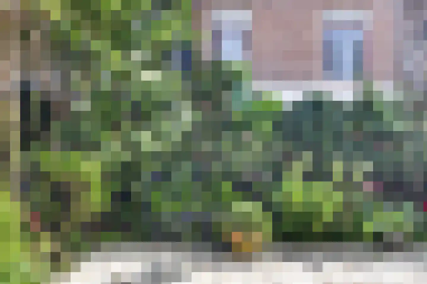 Hemonylaan 19 1 Amsterdam thumbnail 21