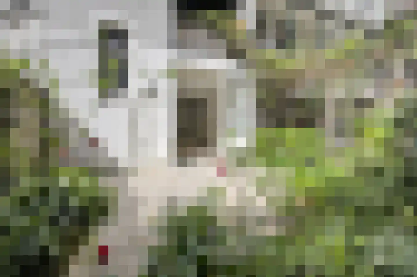 Hemonylaan 19 1 Amsterdam thumbnail 22