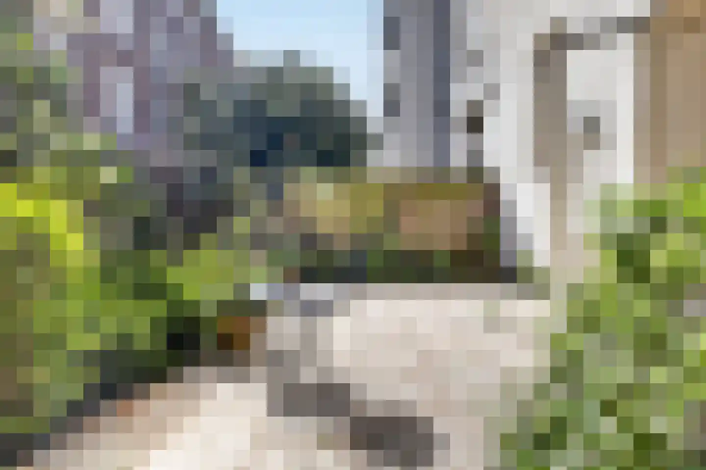 Hemonylaan 19 1 Amsterdam thumbnail 24