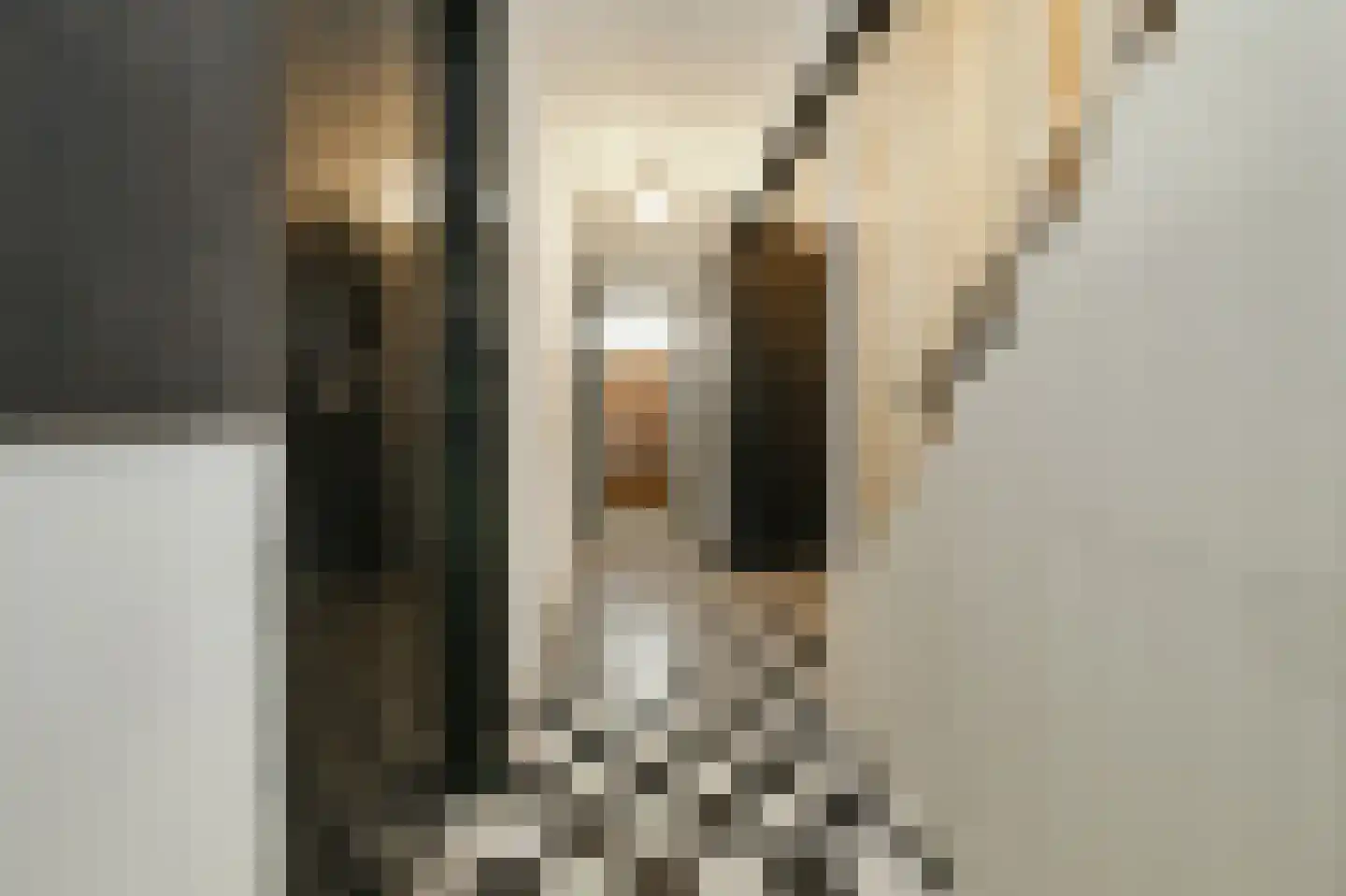 Hemonylaan 22 H Amsterdam thumbnail 24