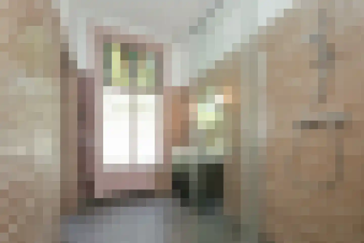Hemonylaan 22 H Amsterdam thumbnail 35