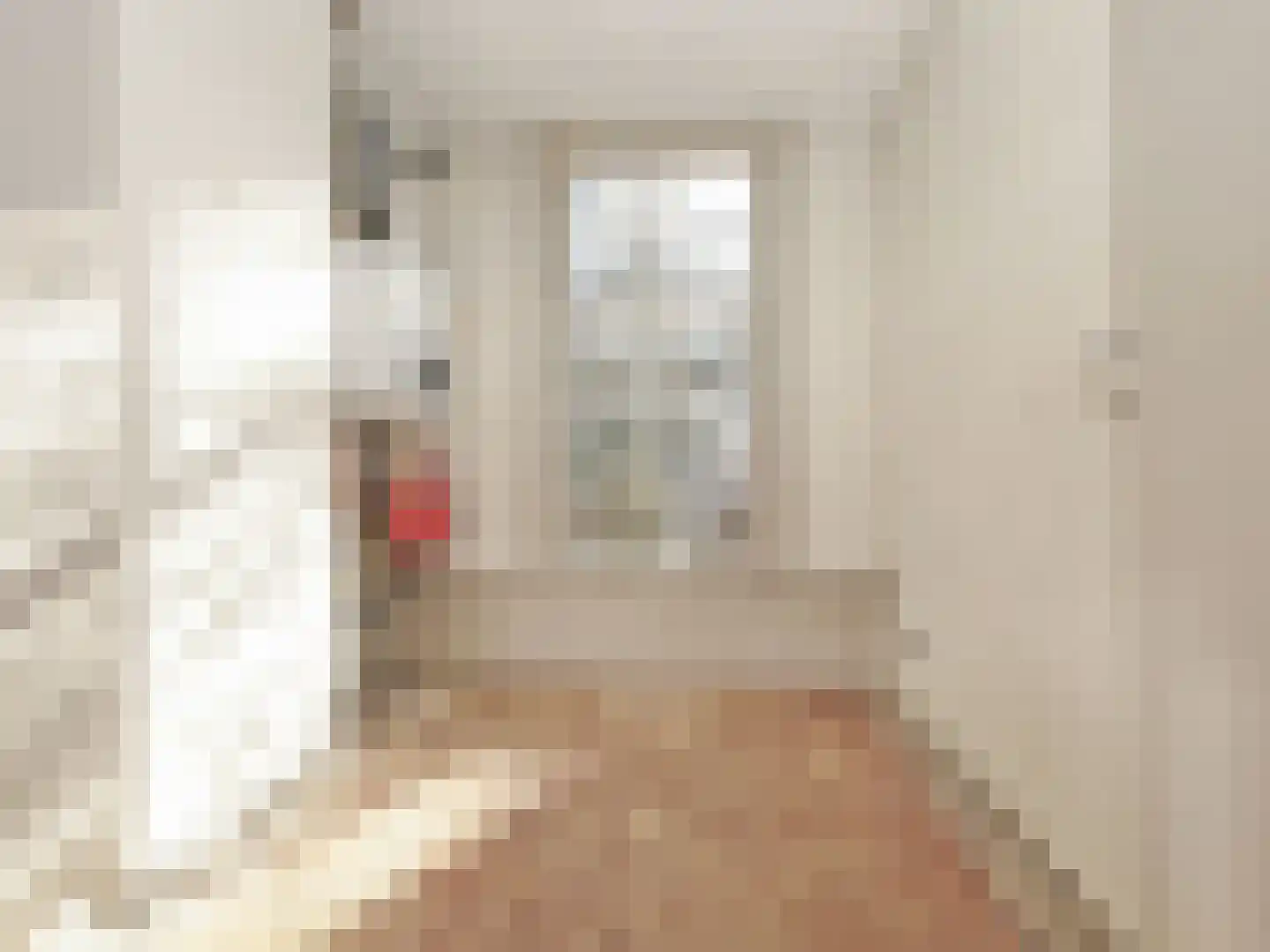 Hemonylaan 22 H Amsterdam thumbnail 40