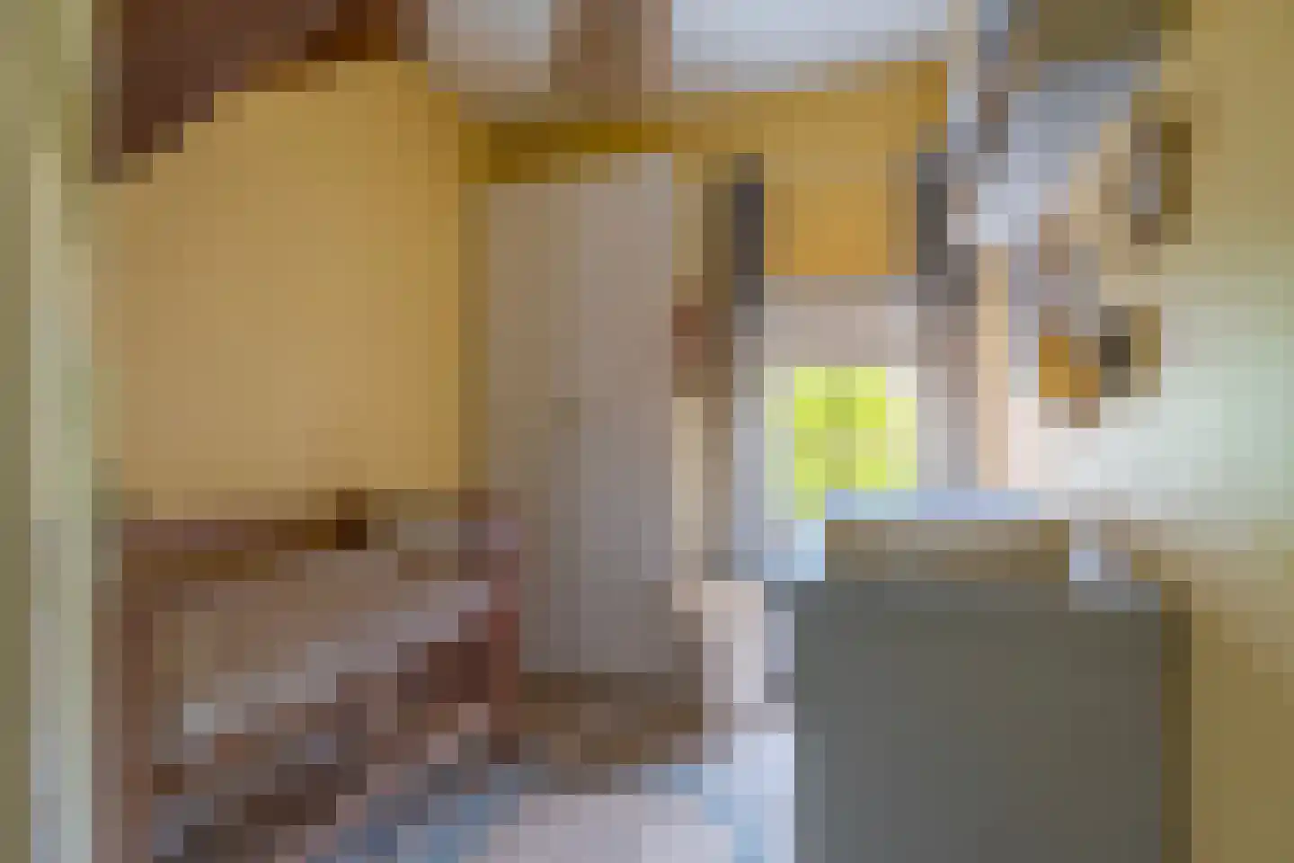 Hemonylaan 3 Arnhem thumbnail 12