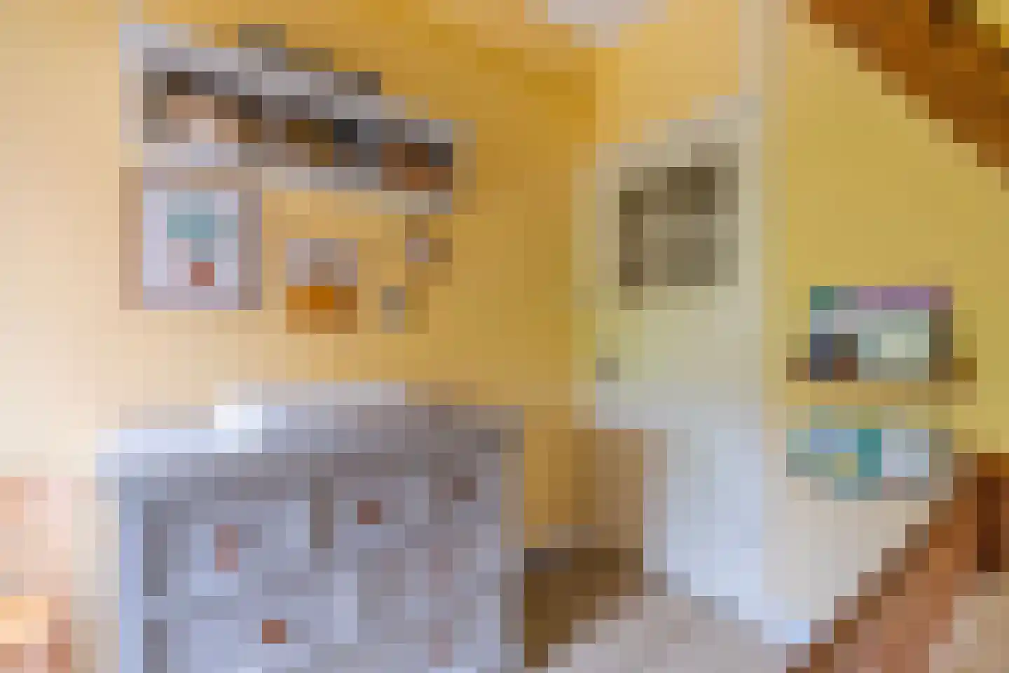 Hemonylaan 3 Arnhem thumbnail 13