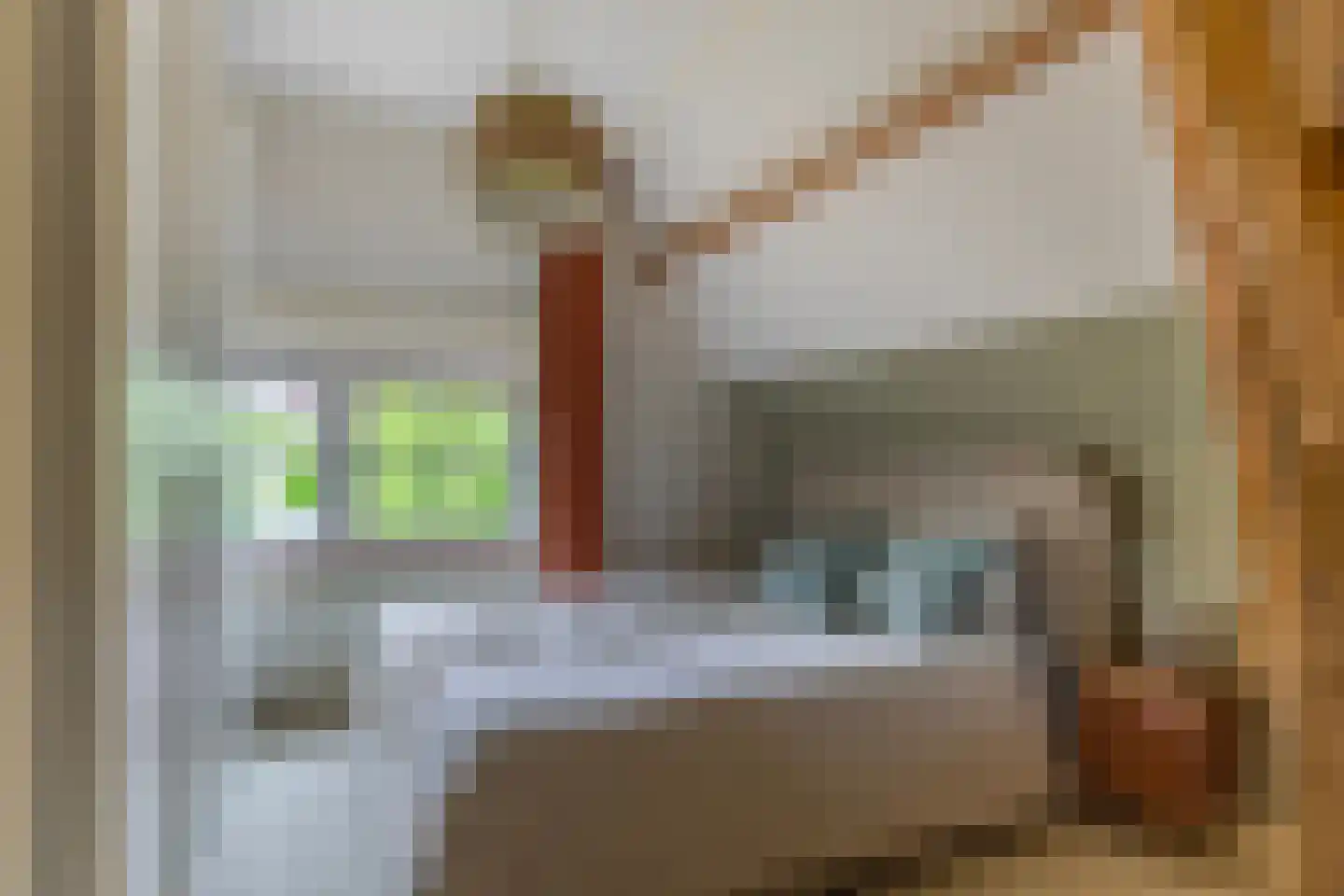 Hemonylaan 3 Arnhem thumbnail 19