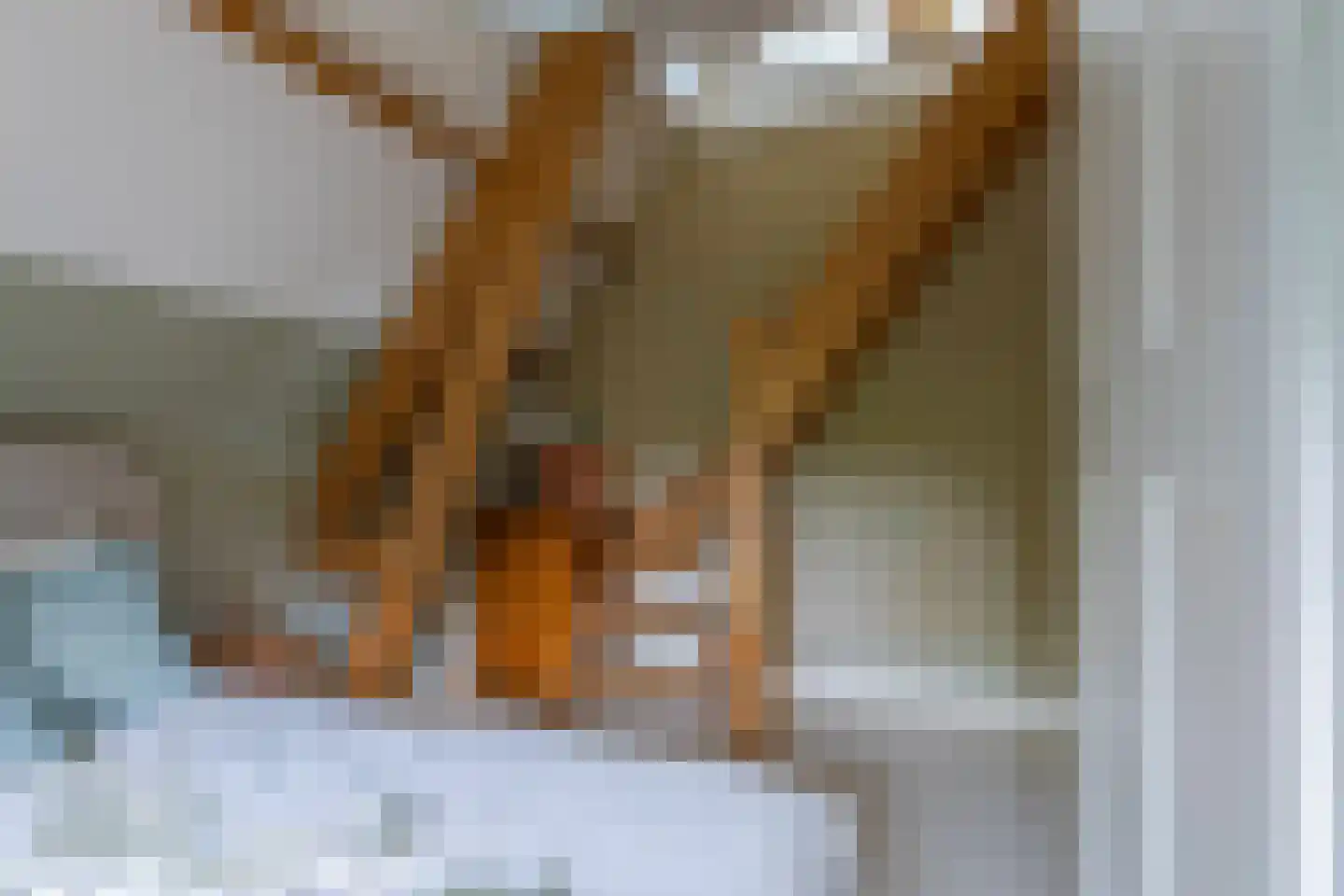 Hemonylaan 3 Arnhem thumbnail 21