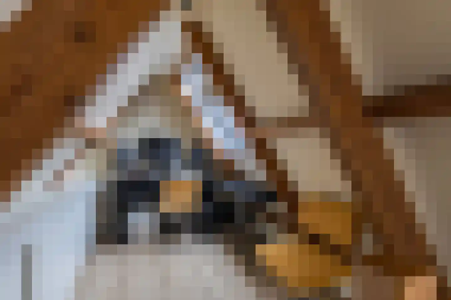 Hemonylaan 3 Arnhem thumbnail 22