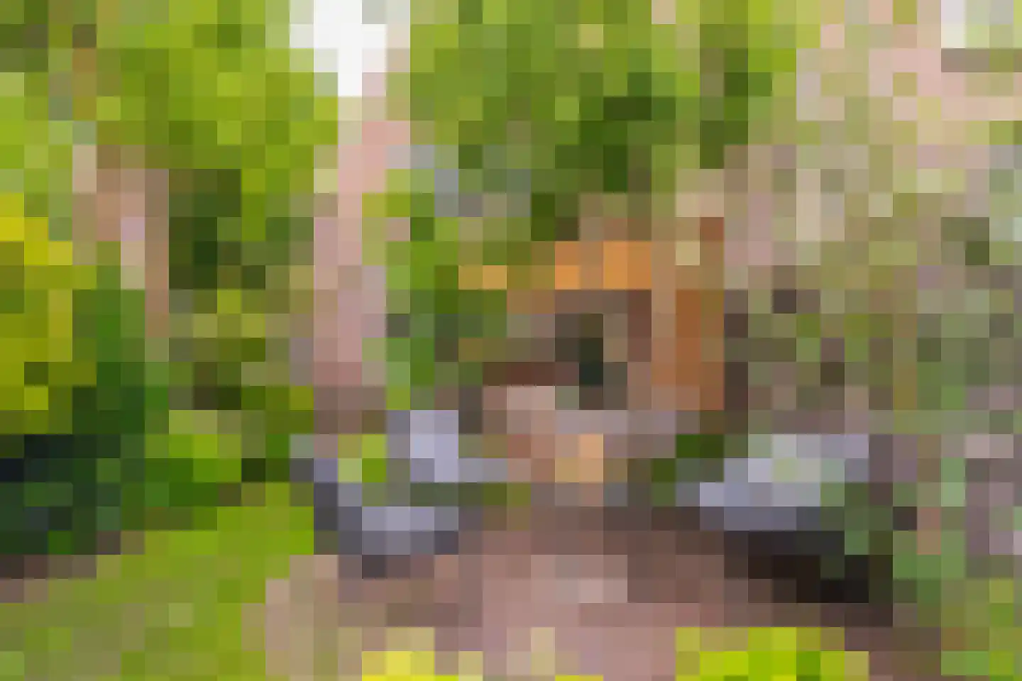 Hemonylaan 3 Arnhem thumbnail 24