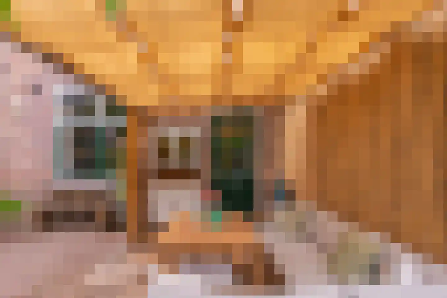 Hemonylaan 3 Arnhem thumbnail 25