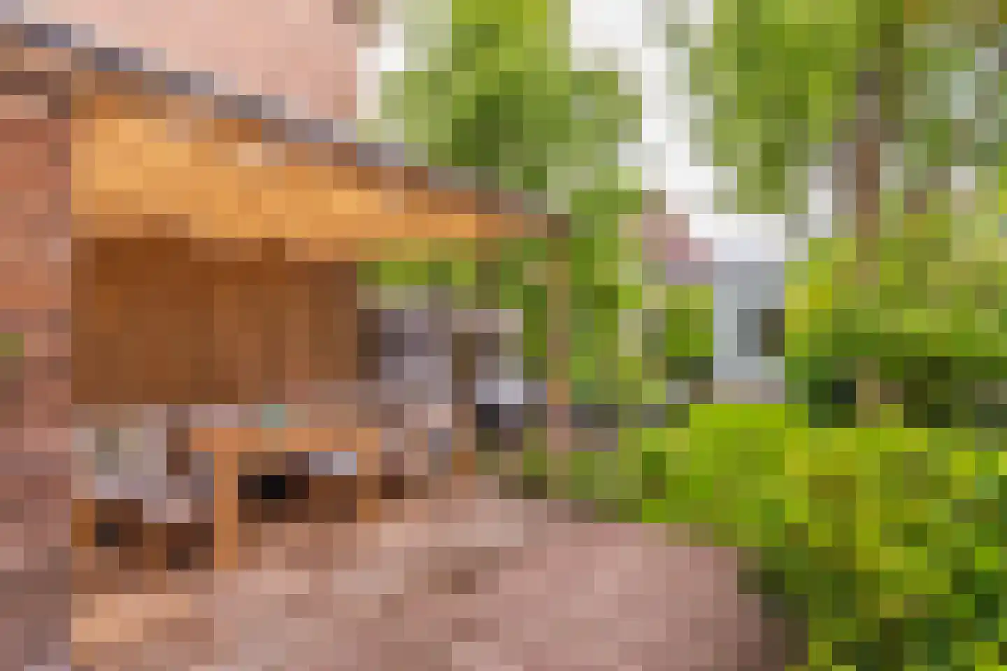 Hemonylaan 3 Arnhem thumbnail 26