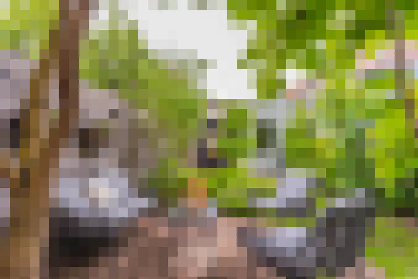 Hemonylaan 3 Arnhem thumbnail 28