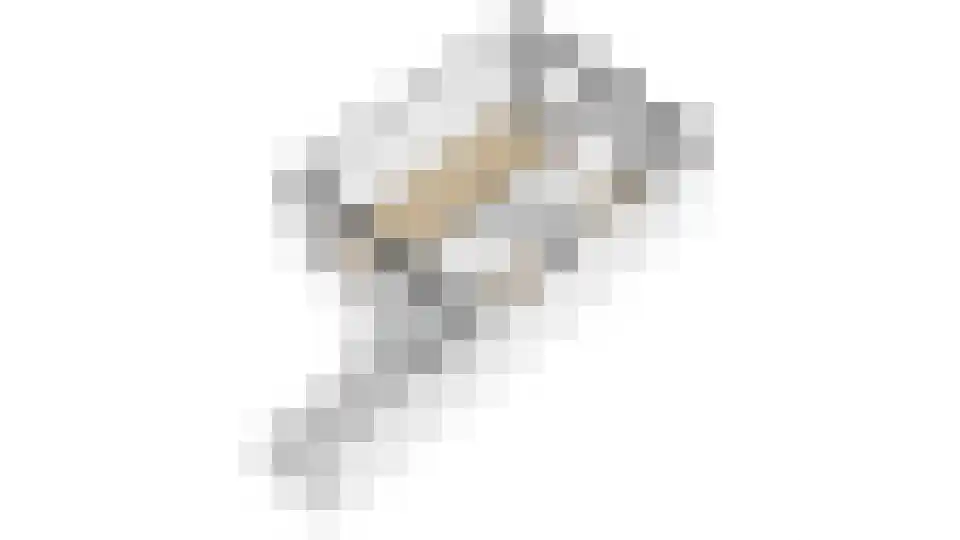 Hemonylaan 3 Arnhem thumbnail 31