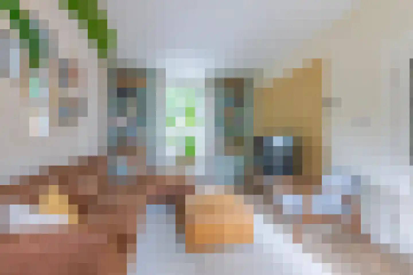 Hemonylaan 3 Arnhem thumbnail 7