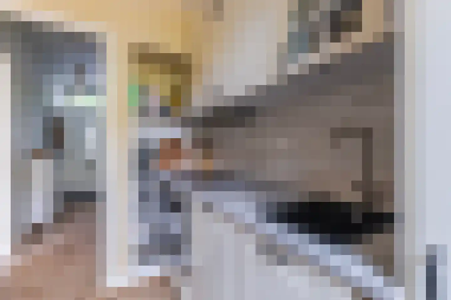 Hemonylaan 3 Arnhem thumbnail 9