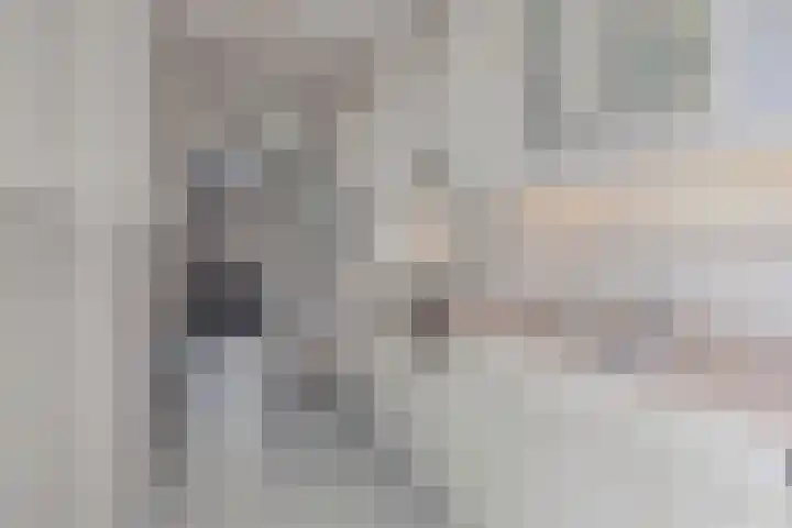 Hemonystraat 10 Zutphen thumbnail 13