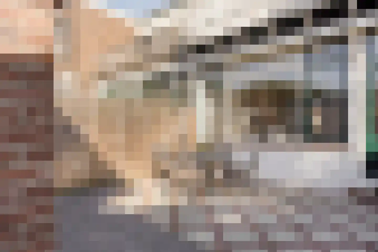 Hemonystraat 10 Zutphen thumbnail 16