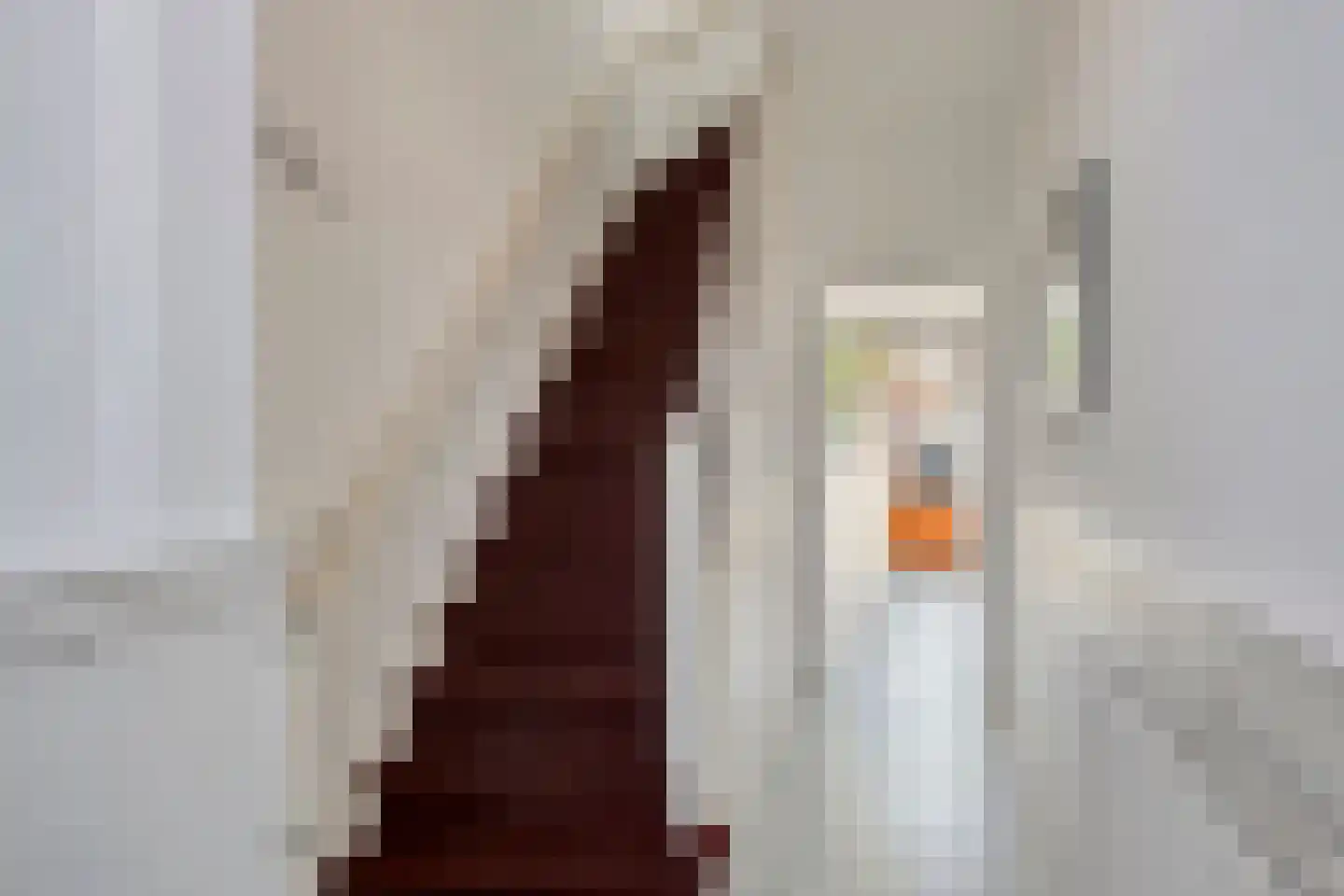 Hemonystraat 10 Zutphen thumbnail 17