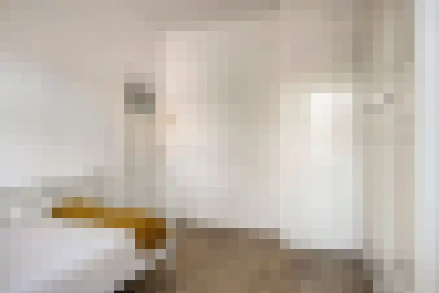 Hemonystraat 10 Zutphen thumbnail 21