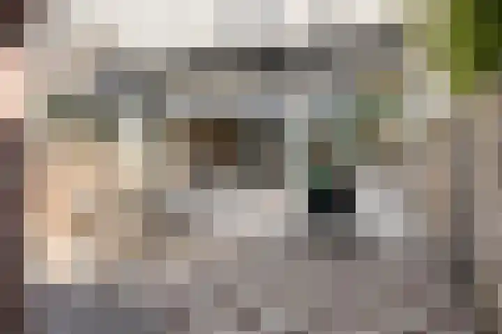 Hemonystraat 10 Zutphen thumbnail 33