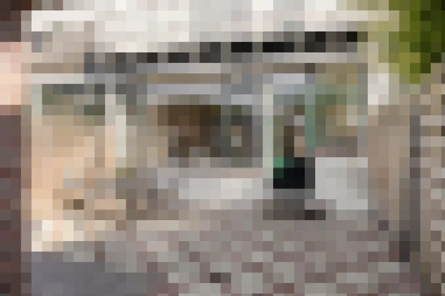 Hemonystraat 10 Zutphen thumbnail 33