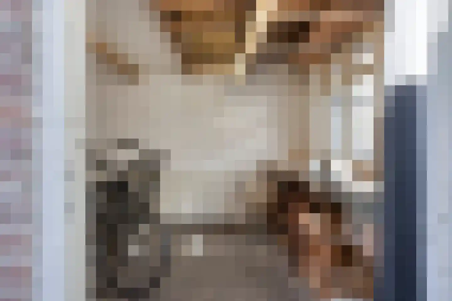 Hemonystraat 10 Zutphen thumbnail 37
