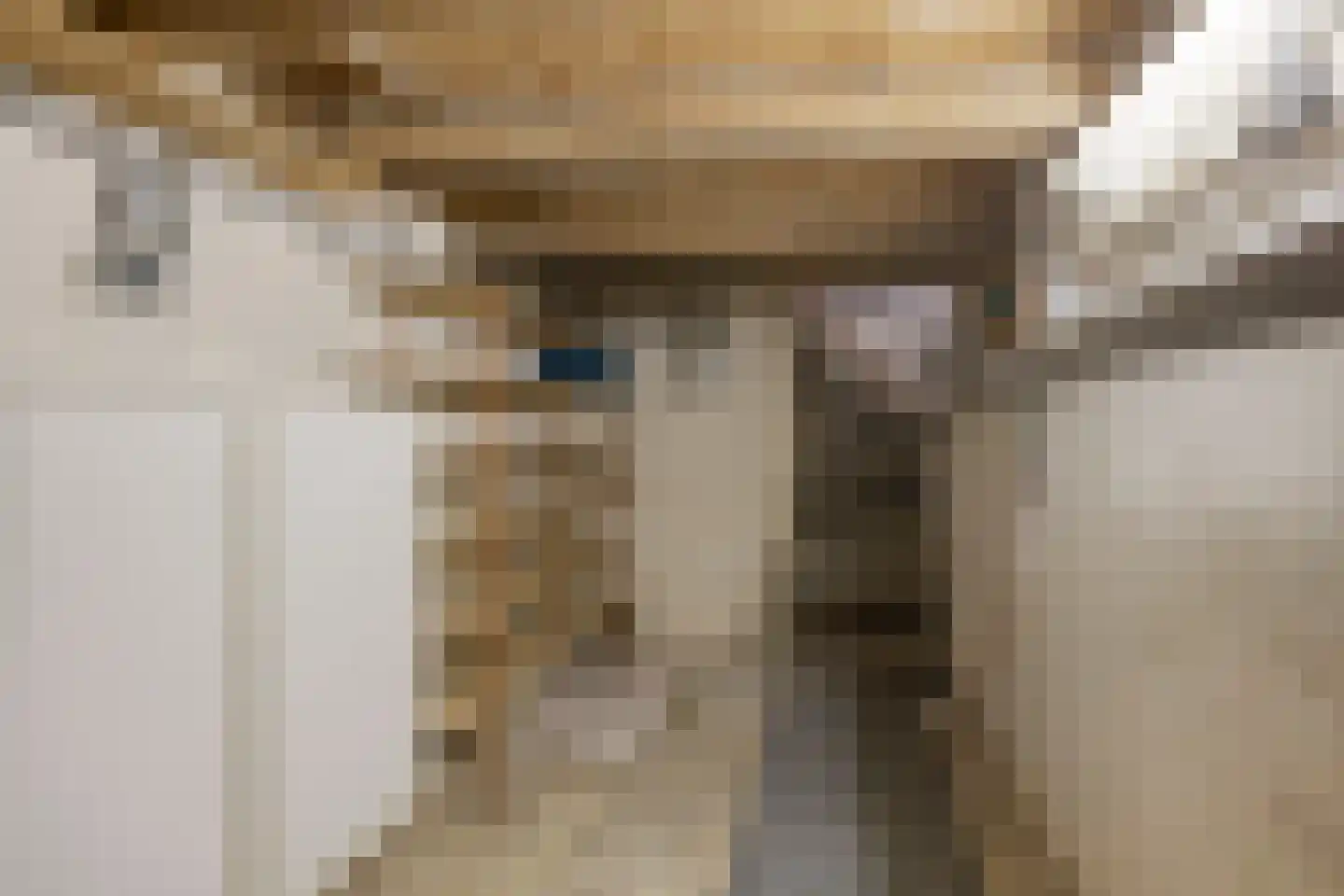 Hemonystraat 10 Zutphen thumbnail 40