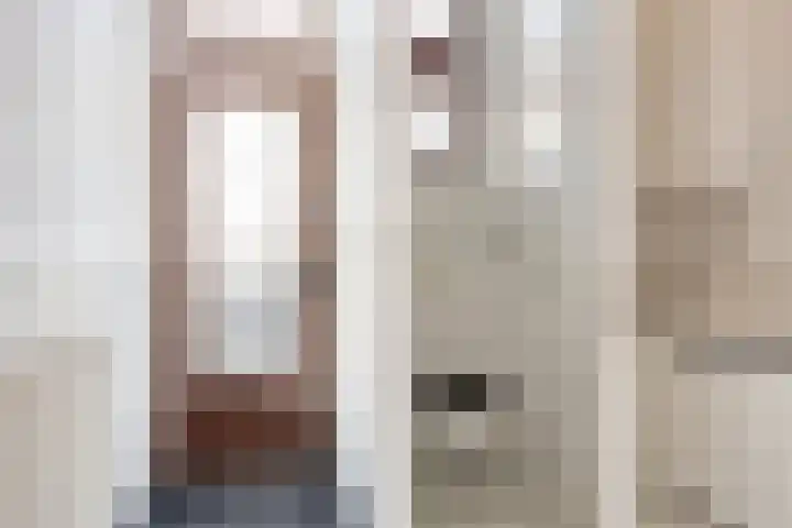 Hemonystraat 10 Zutphen thumbnail 5