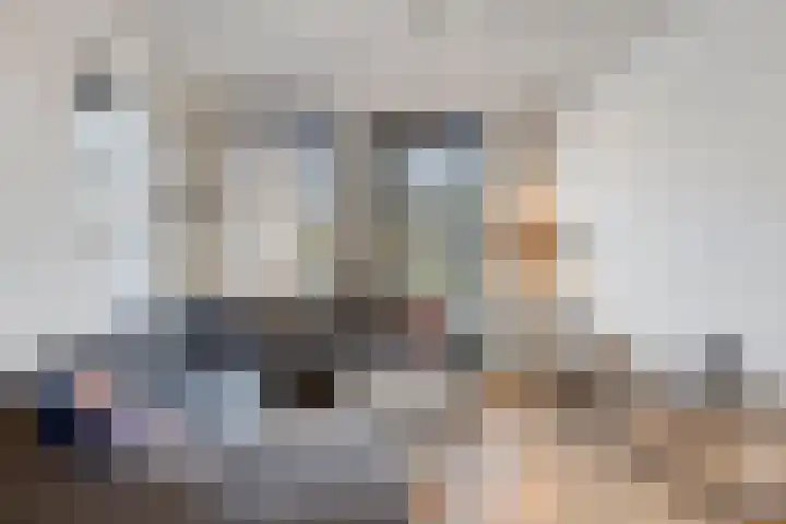 Hemonystraat 10 Zutphen thumbnail 7