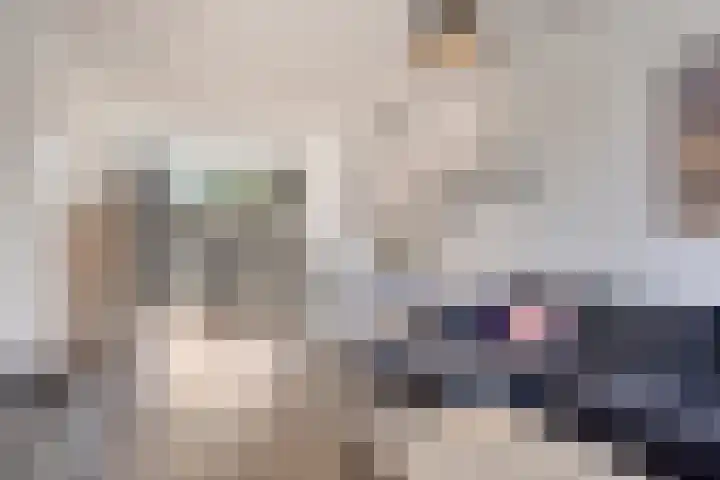 Hemonystraat 10 Zutphen thumbnail 8