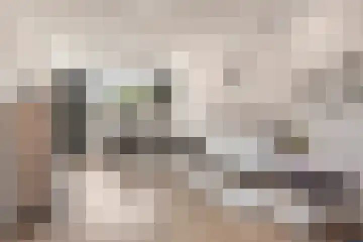 Hemonystraat 10 Zutphen thumbnail 9