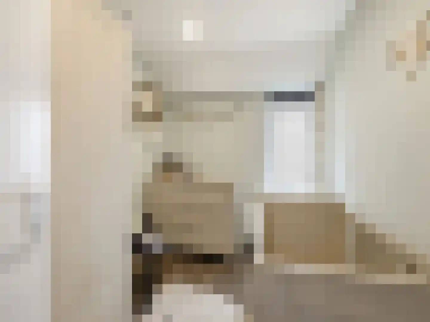 Hemonystraat 13 Zutphen thumbnail 20