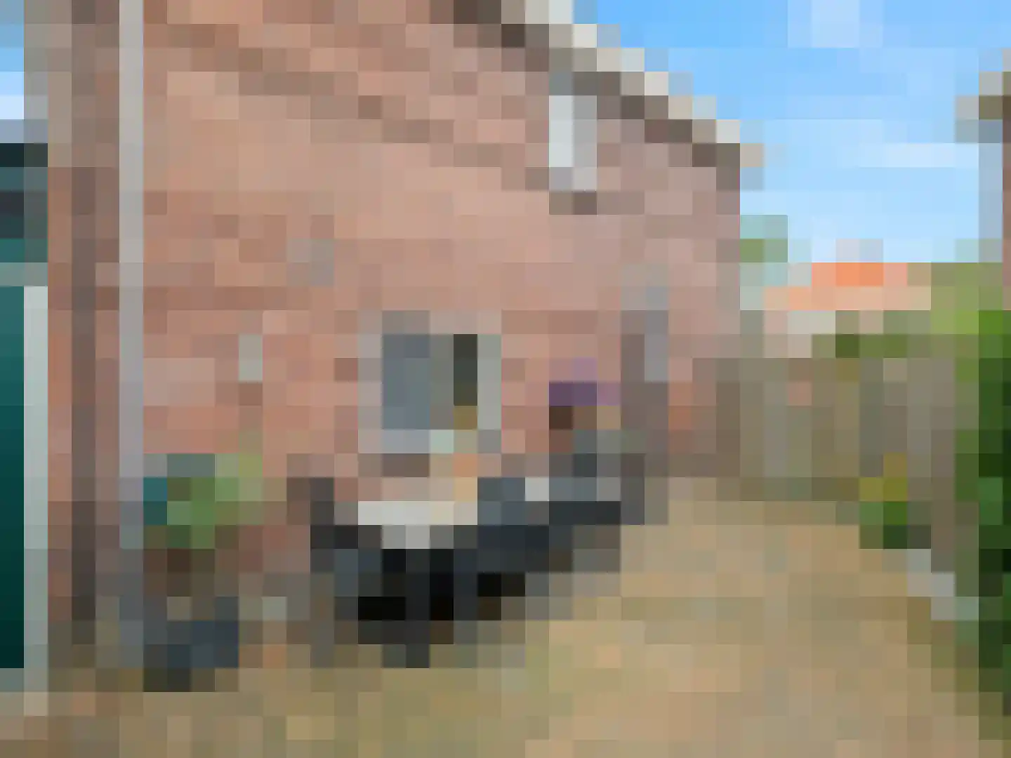 Hemonystraat 13 Zutphen thumbnail 24