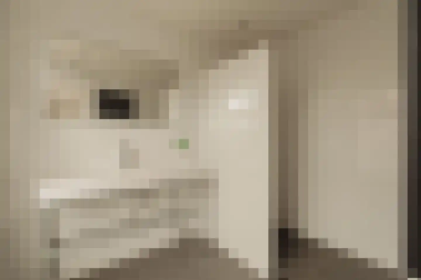 Hemonystraat 19 Amsterdam thumbnail 17