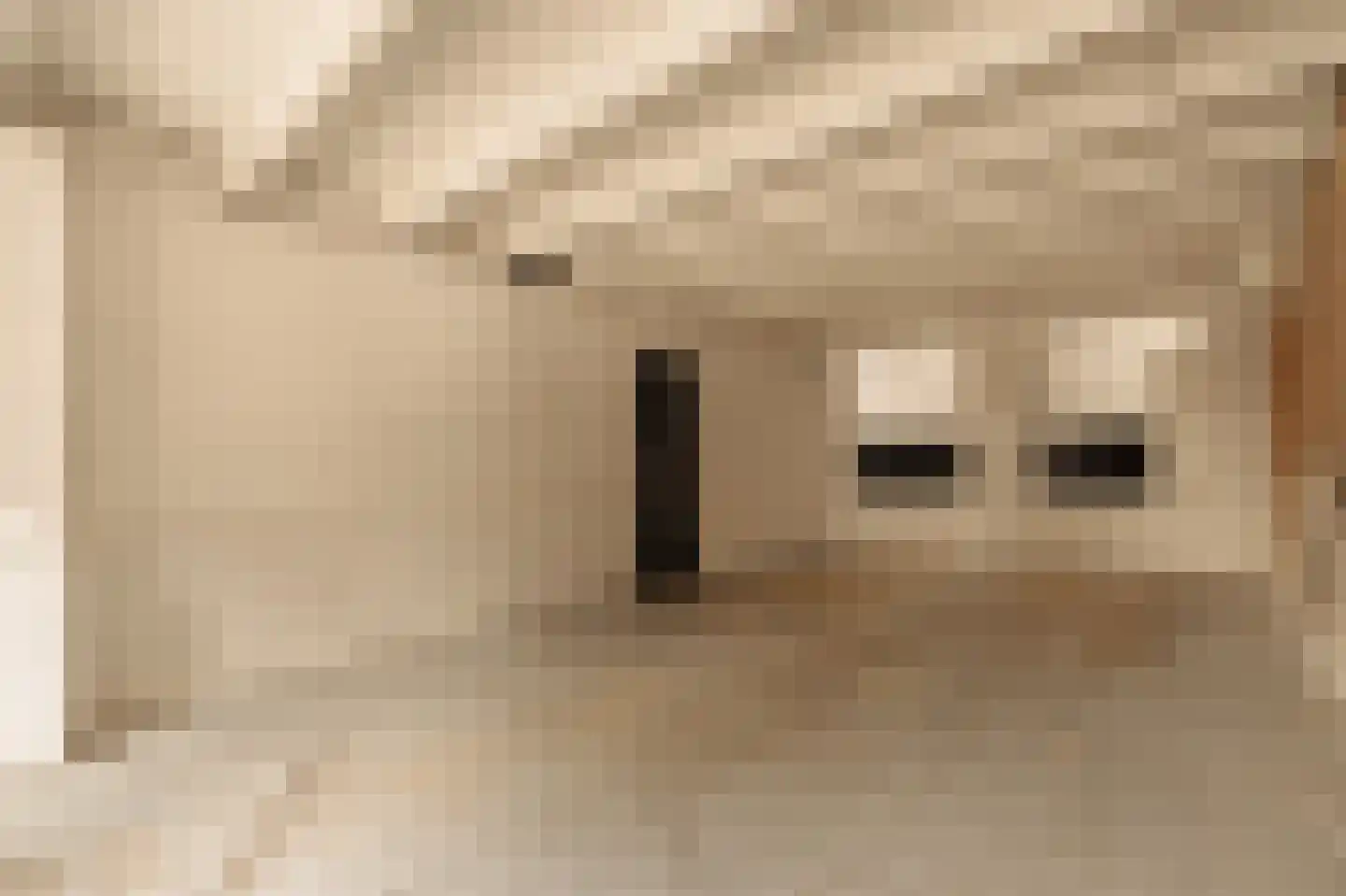 Hemonystraat 19 Amsterdam thumbnail 8