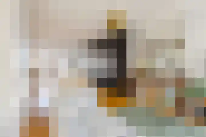 Hemonystraat 20 3 Amsterdam thumbnail 16