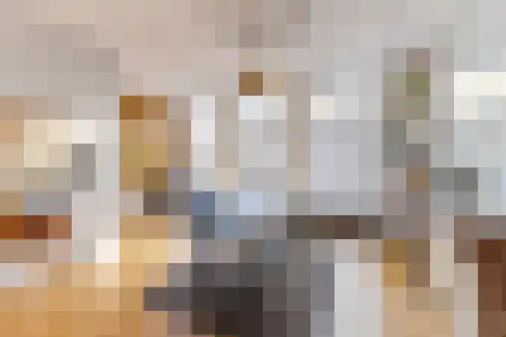Hemonystraat 20 3 Amsterdam thumbnail 7