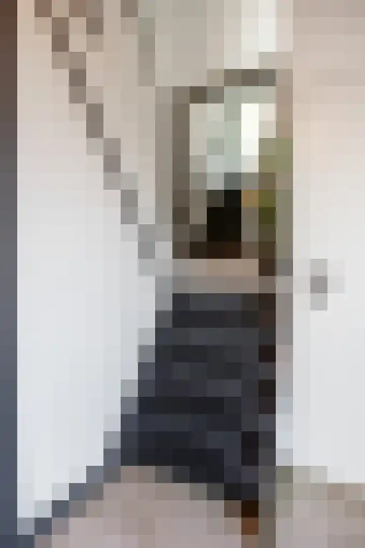 Hemonystraat 23 Middelstum thumbnail 22