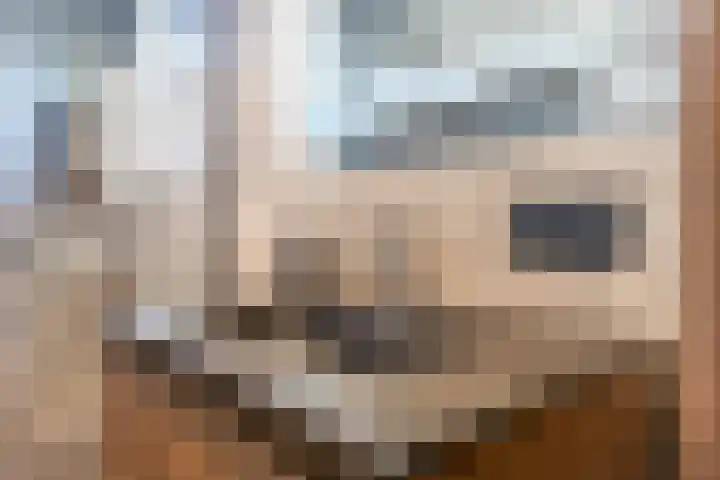 Hemonystraat 23 Middelstum thumbnail 33