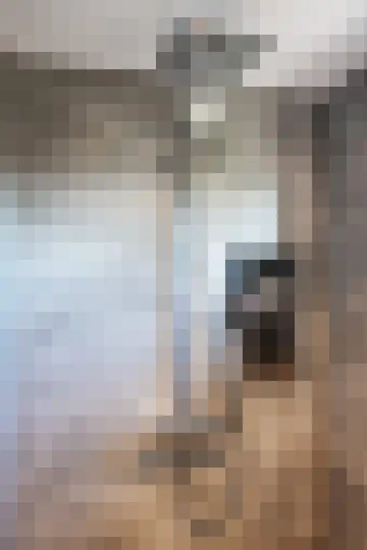 Hemonystraat 23 Middelstum thumbnail 34