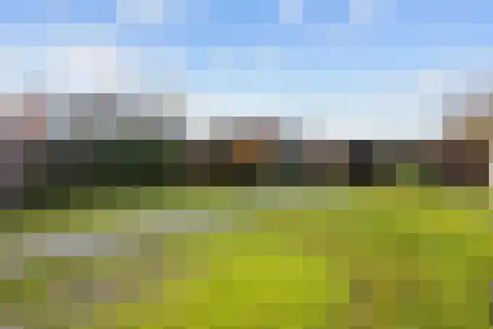 Hemonystraat 23 Middelstum thumbnail 37