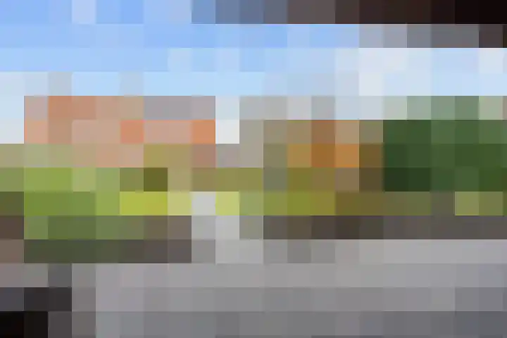 Hemonystraat 23 Middelstum thumbnail 42