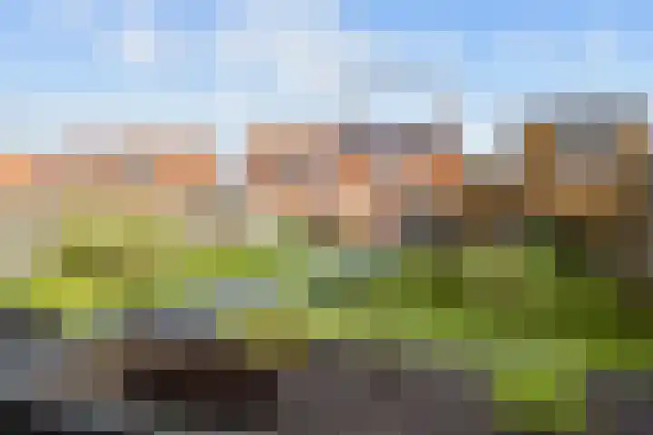 Hemonystraat 23 Middelstum thumbnail 44