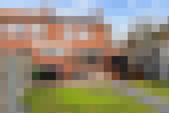 Hemonystraat 23 Middelstum thumbnail 46