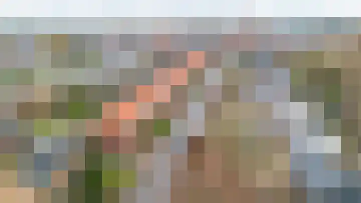 Hemonystraat 23 Middelstum thumbnail 5