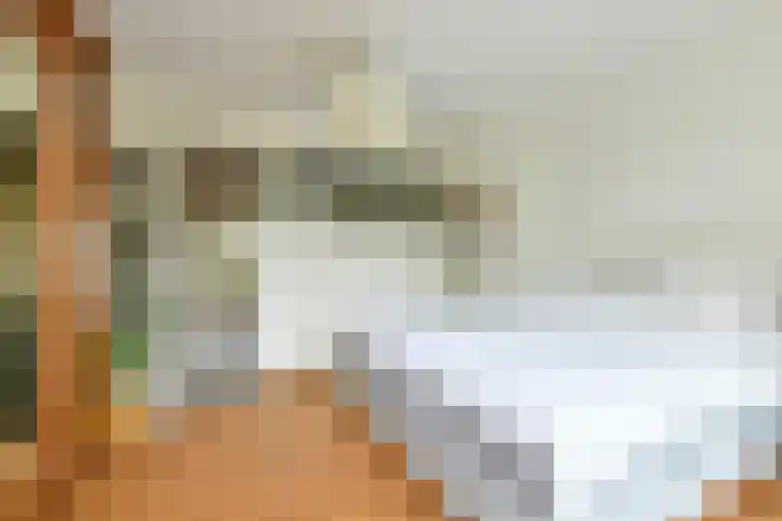 Hemonystraat 24 1 Amsterdam thumbnail 12