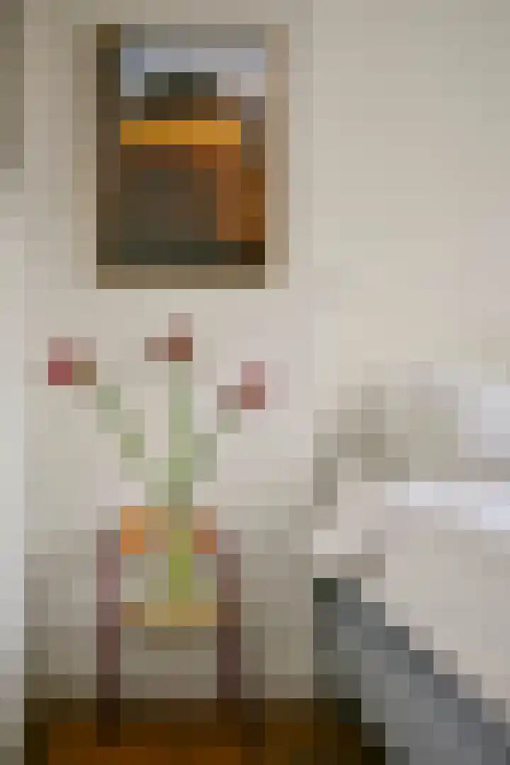 Hemonystraat 24 1 Amsterdam thumbnail 14