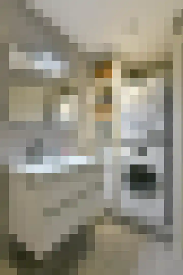 Hemonystraat 24 1 Amsterdam thumbnail 26