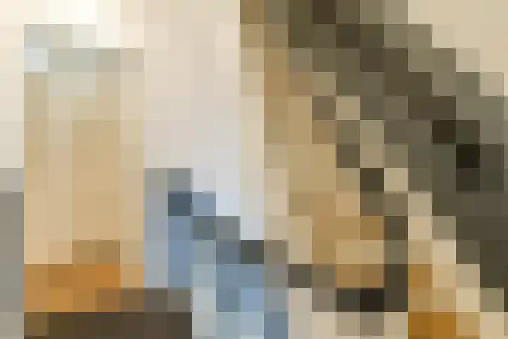 Hemonystraat 24 1 Amsterdam thumbnail 31