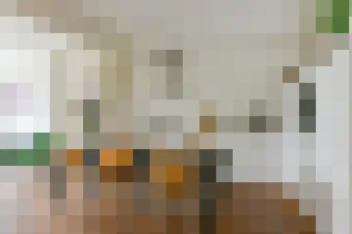 Hemonystraat 24 1 Amsterdam thumbnail 6
